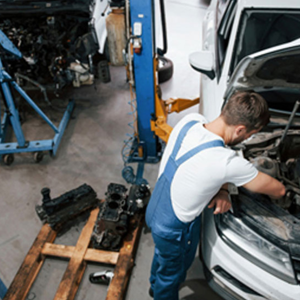 Auto Servis Lola tim